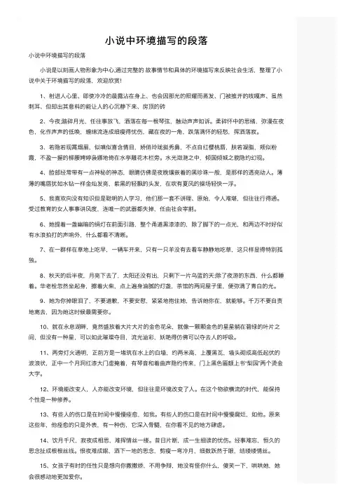 小说中环境描写的段落
