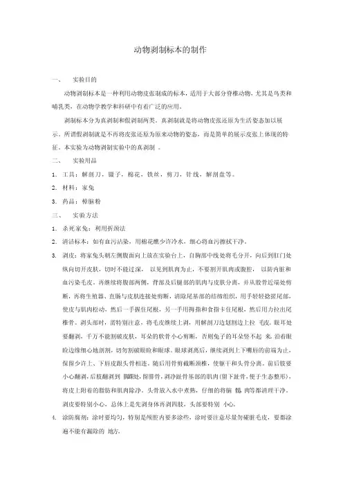 动物剥制标本的制作