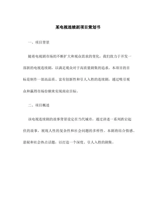 某电视连续剧项目策划书