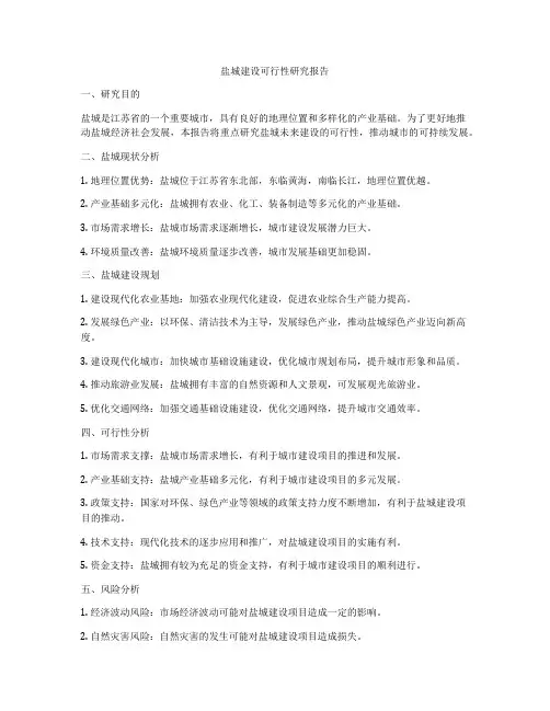 盐城建设可行性研究报告