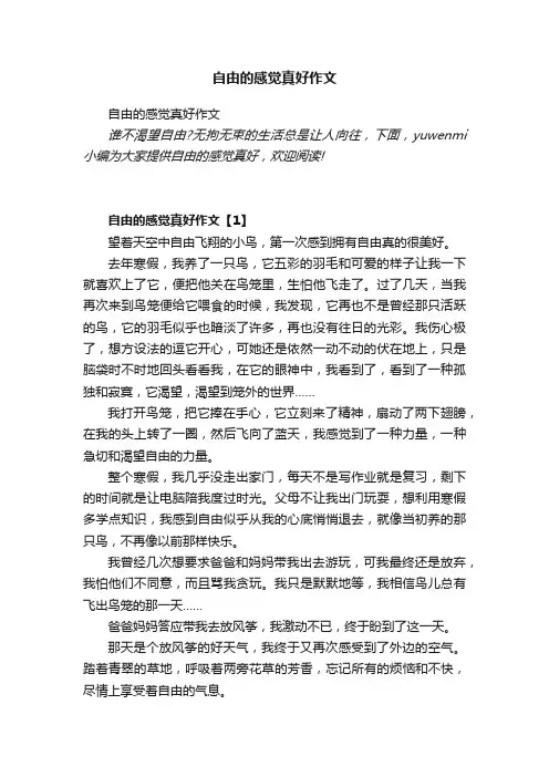 自由的感觉真好作文