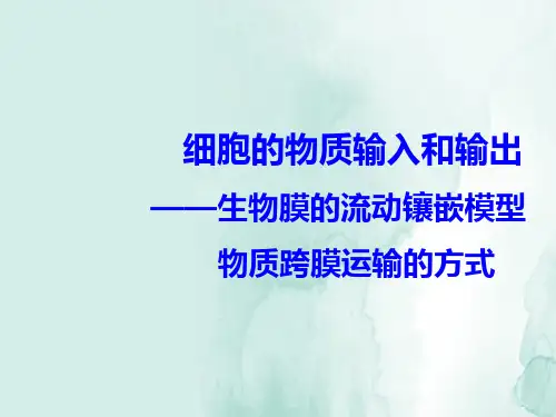 高三生物一轮复习精品课件7：细胞的物质输入和输出(二)