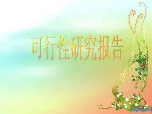 可行性研究报告