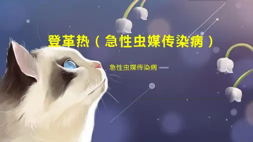 登革热(急性虫媒传染病)