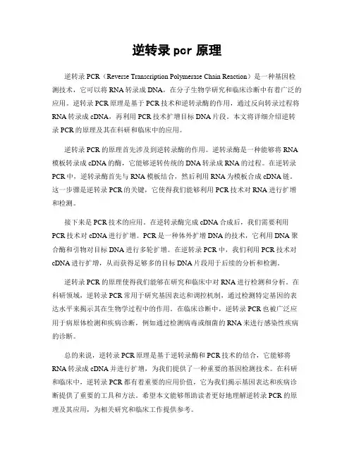 逆转录pcr原理