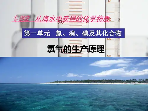 氯气生产原理.