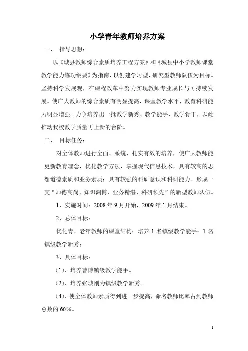 教师专业成长与可持续成长实施方案(小学青年教师培养方案)