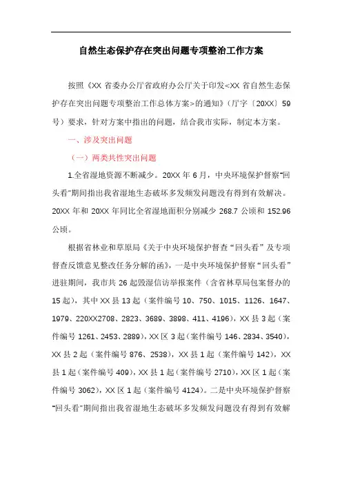 自然生态保护存在突出问题专项整治工作方案