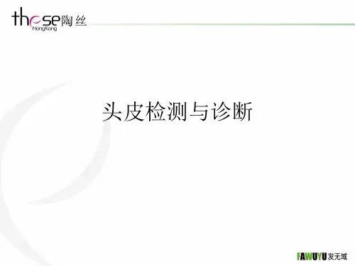 头皮检测与诊断参考PPT