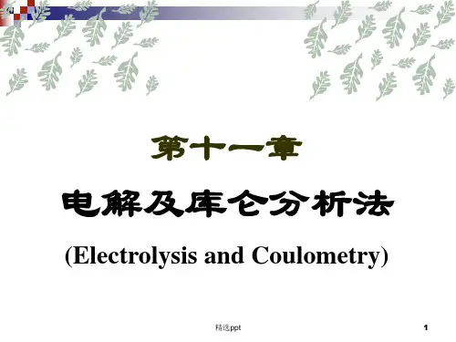 《电解及库仑分析法》PPT课件