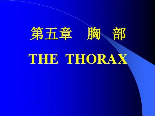 局解第五章--胸部(1)