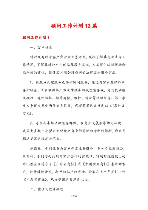 顾问工作计划12篇
