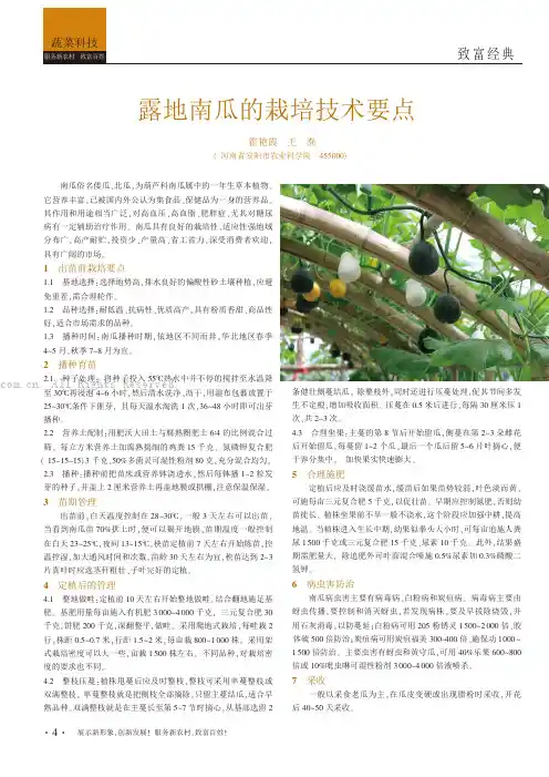 露地南瓜的栽培技术要点