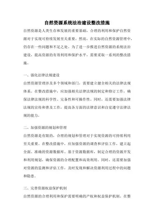 自然资源系统法治建设整改措施