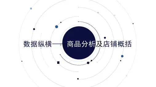 速卖通数据纵横——商品分析及店铺概括