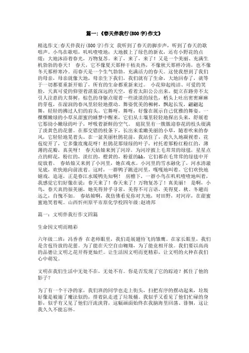我与春天同行作文800