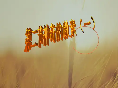 最新-八年级科学上册 第二节神奇的激素一课件 浙教版 精品 