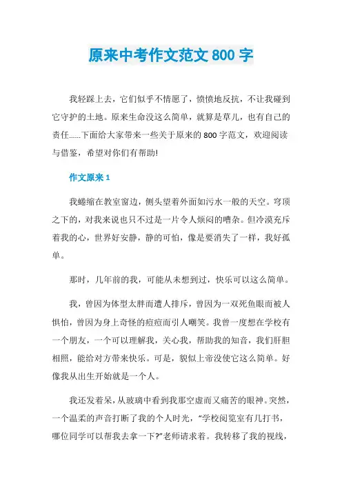 原来中考作文范文800字