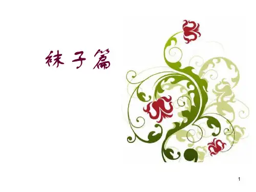 袜子PPT课件