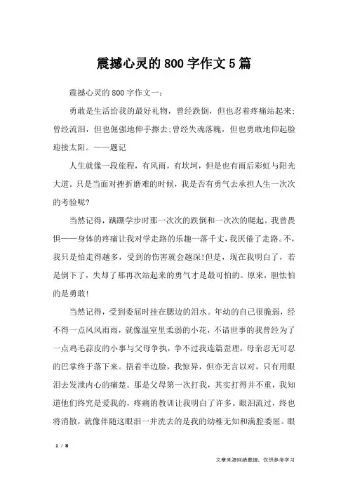 震撼心灵的800字作文5篇_初中作文