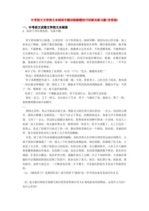 中考语文文学类文本阅读专题训练解题技巧讲解及练习题(含答案)