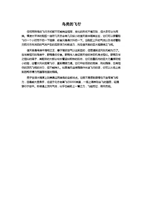 鸟类的飞行