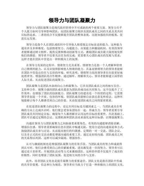 领导力与团队凝聚力