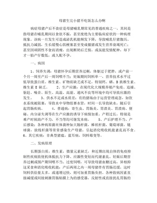 母猪生完小猪不吃饭怎么办啊