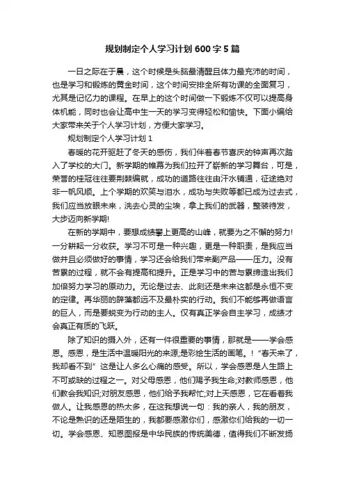 规划制定个人学习计划600字5篇