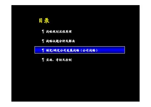麦肯锡战略规划流程培训资料2