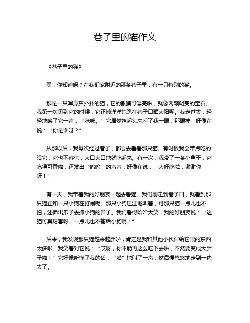 巷子里的猫作文