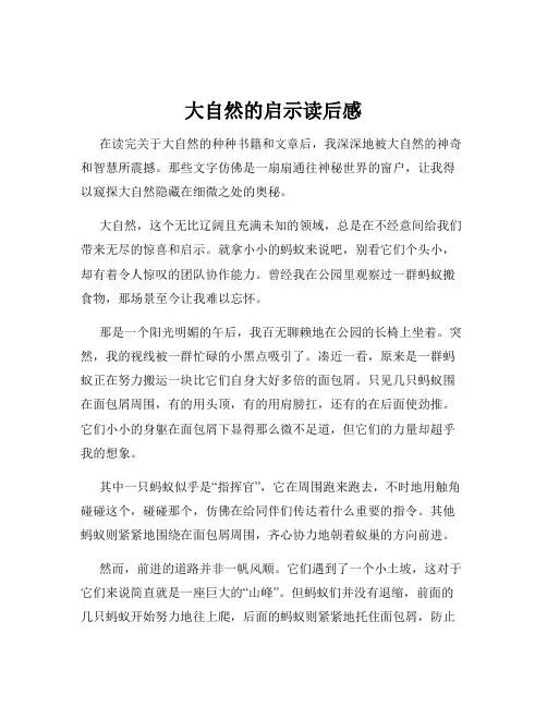 大自然的启示读后感