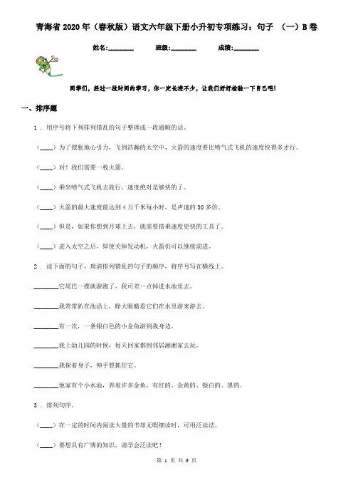 青海省2020年(春秋版)语文六年级下册小升初专项练习：句子 (一)B卷