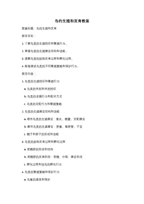 鸟的生殖和发育教案