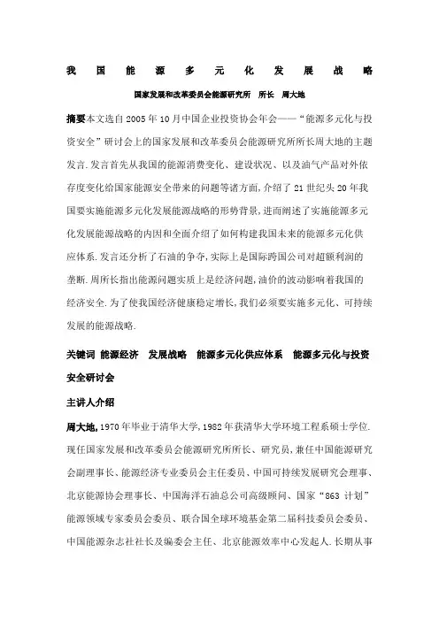 能源多元化发展战略