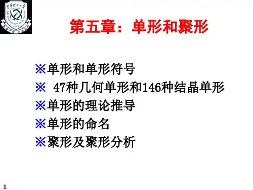 单形和聚形