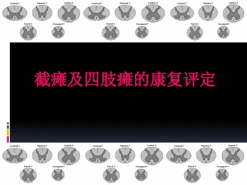 第17章第2节截瘫及四肢瘫的康复评定详解