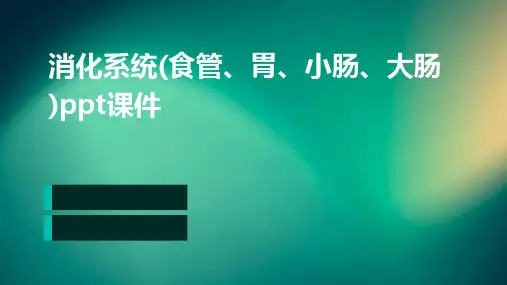 消化系统(食管、胃、小肠、大肠)PPT课件