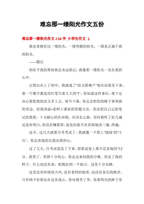 难忘那一缕阳光作文五份