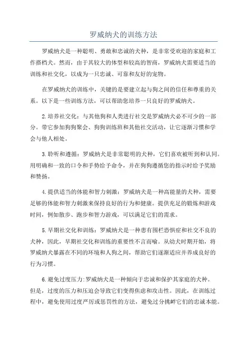 罗威纳犬的训练方法