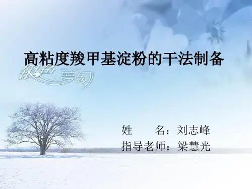 高粘度羧甲基淀粉的干法制备.ppt