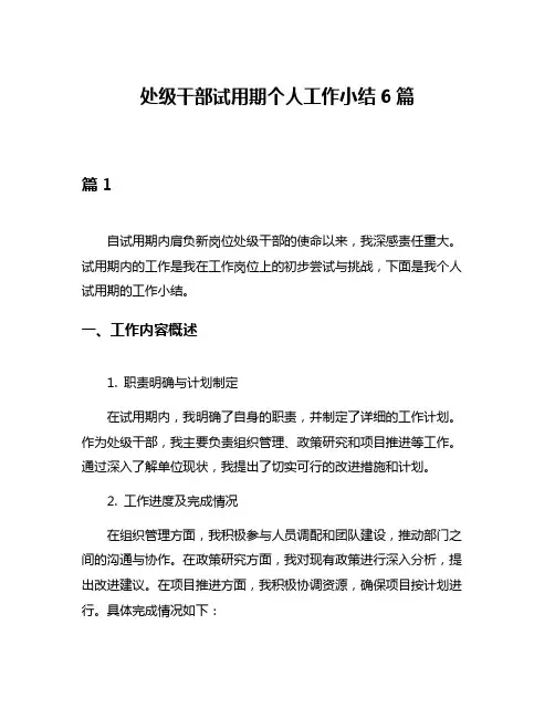 处级干部试用期个人工作小结6篇