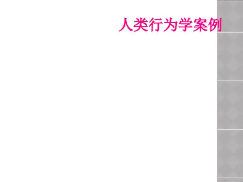 人类行为学案例