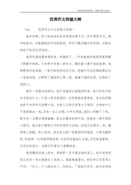 优秀作文仰望大树