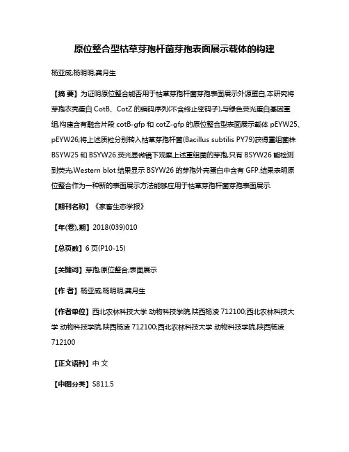 原位整合型枯草芽孢杆菌芽孢表面展示载体的构建