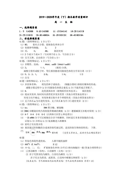 成都市2020年高一期末考试答案生物—答案