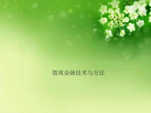 微观金融技术与方法优秀课件