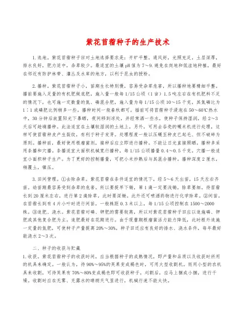 紫花苜蓿种子的生产技术