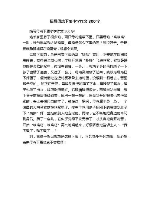描写母鸡下蛋小学作文300字