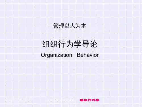 组织行为学-导论